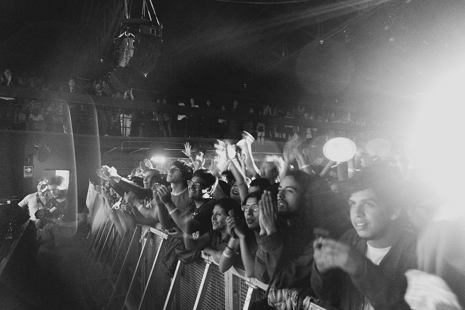 people during concert